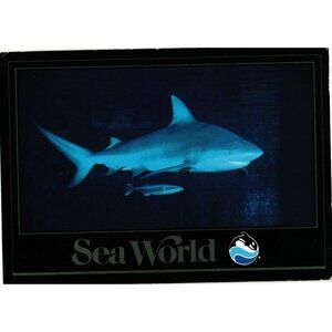 Sea World Shark Encounter 1986 Postcard Published By Impact
